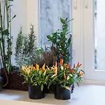 Art & Jungle Apartment