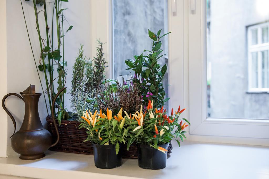 Art & Jungle Apartment Krakau